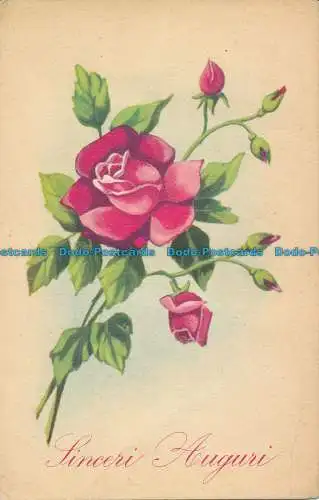 R017481 Sinceri Auguri