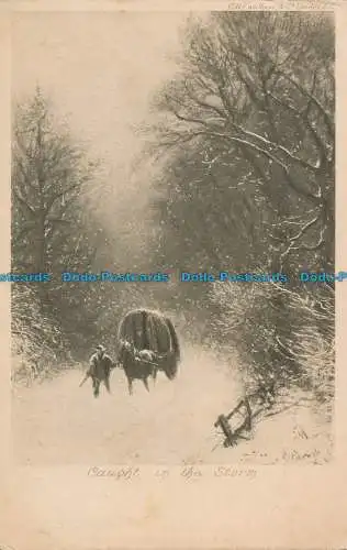 R016267 Im Sturm gefangen. 1903