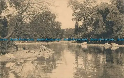 R015316 Anvers. Jardin Zoologique. Grand Bassin. Ern. Thill. Nels