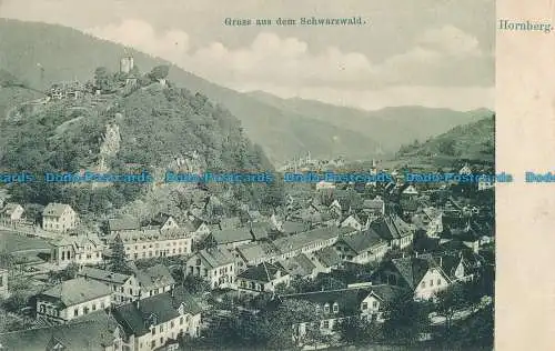 R018134 Gruss aus dem Schwarzwald. Hornberg. Bussemer