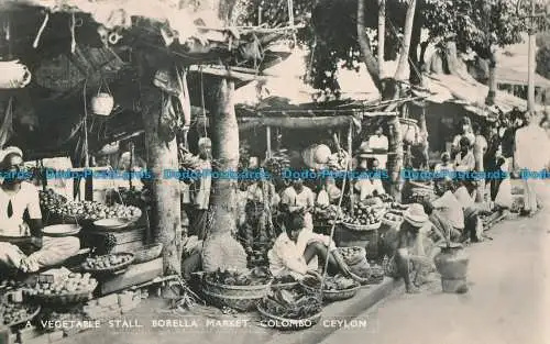 R019040 A Gemüsestall. Borella Markt. Colombo. Ceylon. Platte