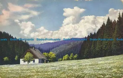 R018658 Alte Postkarte. Haus und Felder. Berge. Photochromie