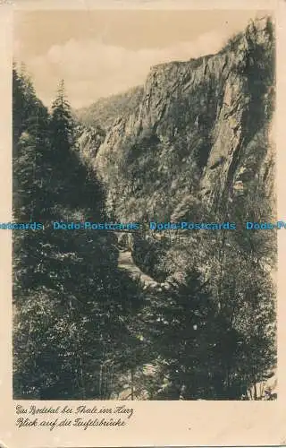 R020704 Das Bodetal bei Thale im Harz. Blick auf die Teufelsbrücke. Gala. Nr 151