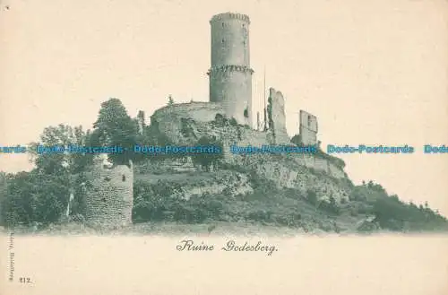 R020041 Ruine Godesberg