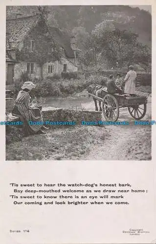 R021744 Alte Postkarte. Frau sitzend. Pferd und Häuser. Davidson Bros. 1906