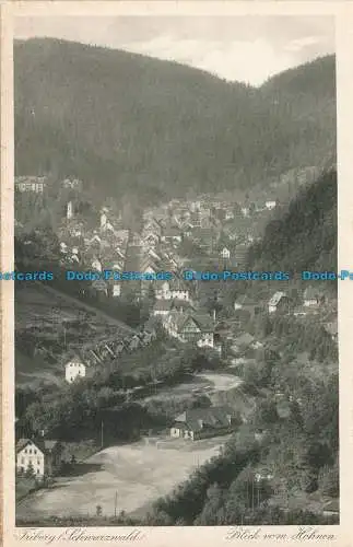 R020305 Triberg. Schwarzwald. Blick vom Hohnen. Emil Hartmann. Nr 3040