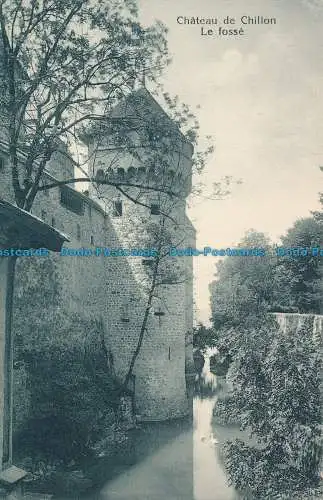 R021288 Chateau de Chillon. Le Fosse. G. Anderegg. Nr 364
