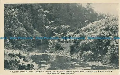 R021305 Eine typische Szene neuseeländischer Kristallgebirgsbäche, die helfen,