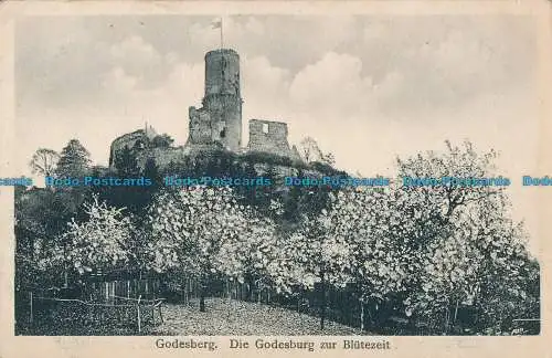 R021366 Godesberg. Die Godesburg zur Blutezeit