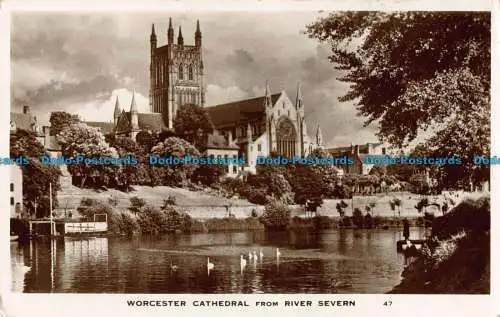 R041375 Worcester Cathedral vom Fluss Severn. Nr 47. RP