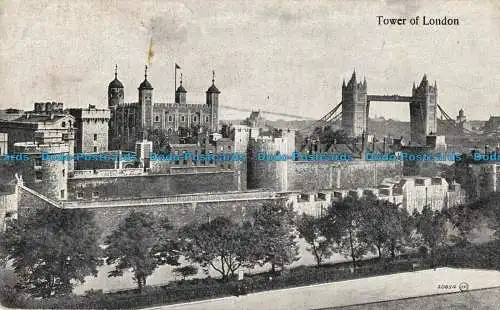 R041456 Tower of London. Valentinstag. Platoton. Nr 20854