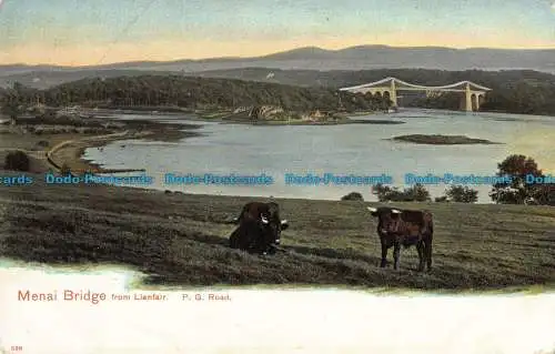 R041557 Menai Bridge von Llanfair. P.G. Road. Pfau. Autochrom