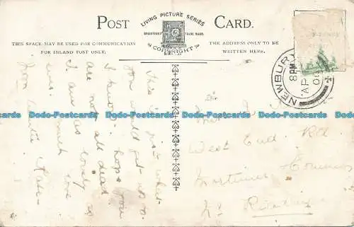 R041734 sucht das Band. Wohnbild. 1906