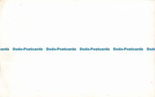R043882 Alte Postkarte. Mann in der Nähe des Baumes