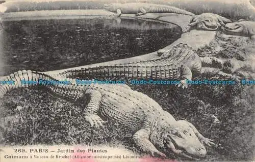R044727 Paris. Jardin des Plantes