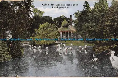 R044728 Köln a.Rh. Zoologischer Garten Flamingoweiher. E. Holzmann