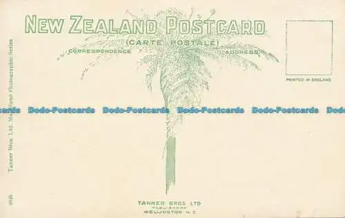 R046713 Waimangu Rotorua. N. Z. Tanner Bros