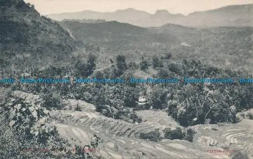 R046805 Szene von Eisenbahn nach Kandy. Skeen