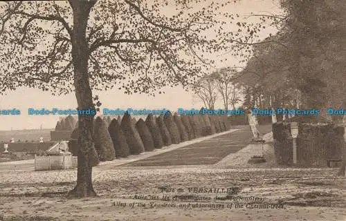 R047935 Parc de Versailles. Alley of the Yew Trees and Quincunres of the Ghesnut