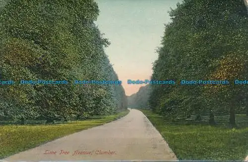 R049368 Lindenallee. Clumber. Jackson. Jay Em Jay. 1908