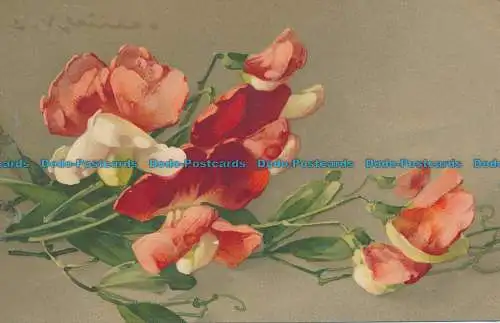 R050738 Alte Postkarte. Blumen. Meissner und Buch. 1914