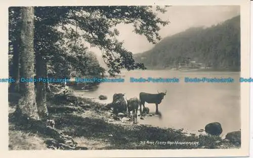 R050816 Bear Ferry Nab Windermere. Abraham. Nr 313. RP