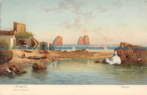 R051836 Capri. Faraglioni. Ruinen von Faraglioni. Stengel. Misch