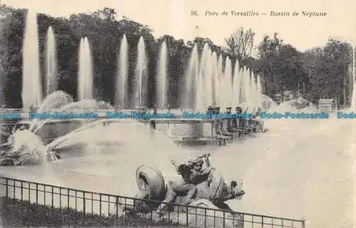 R051564 Parc de Versailles. Bassin de Neptune