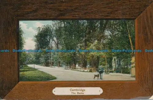 R050960 Cambridge. Die Rückseiten. Milton. 1915