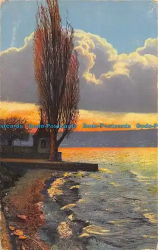 R051934 Alte Postkarte. Meer und Haus