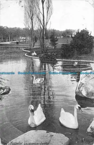 R051736 Montpellier. Les Nouveaux Jardins. 1907