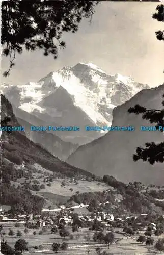R053053 Wilderswil mit Jungfrau. H. Steinhauer. 1958
