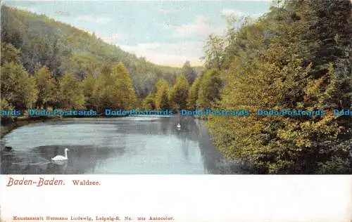 R053386 Baden Baden. Waldsee. Hermann Ludewig