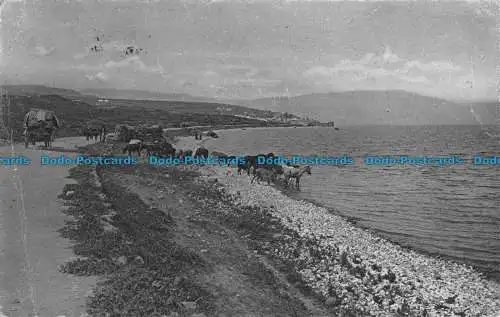 R053738 Palästina. Eine Seitenansicht von Tiberias. 1941