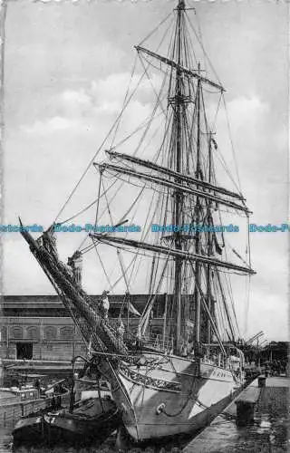 R053742 Anvers. Navire Ecole Mercator