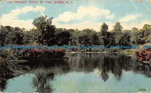 R053817 Der Passaic River bei Pine Brook. N.J