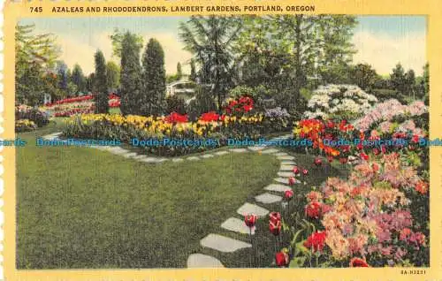 R054005 Azaleen und Rhododendren. Lambert Gardens. Portland. Oregon. 1951