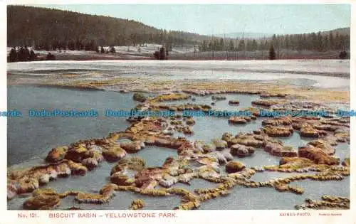 R054230 Keksbecken. Yellowstone Park. Haynes