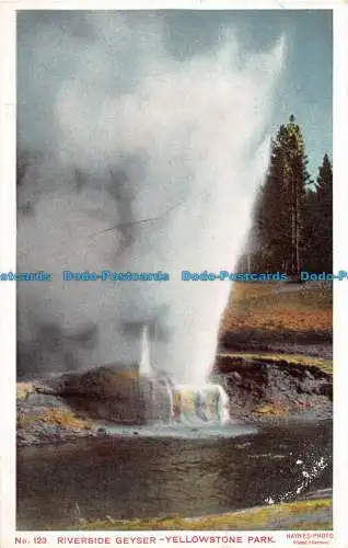 R054420 Riverside Geysir. Yellowstone Park. Haynes. Nr 123