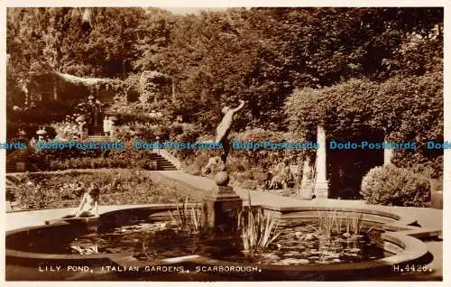 R055701 Seerosenteich. Italienischen Gärten. Scarborough. Valentinstag. Nr H. 4426. RP