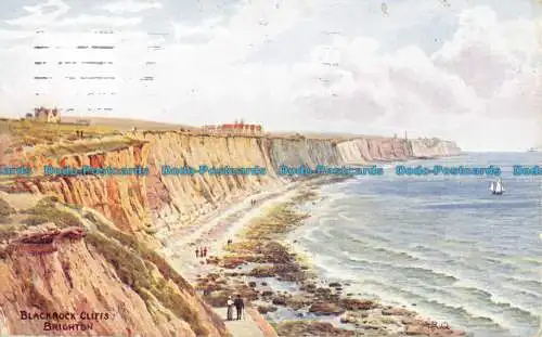R055803 Blackrock Cliffs. Brighton. Lachs. 1913