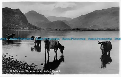 R056845 Eine Viehszene. Derwentwater und Lodore. Keswick. Abraham. RP