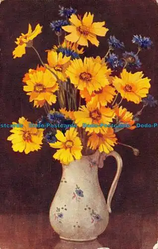 R057517 Coreopsis und Kornblumen. Von Dorcie Sykes. Salon. Nr 4461