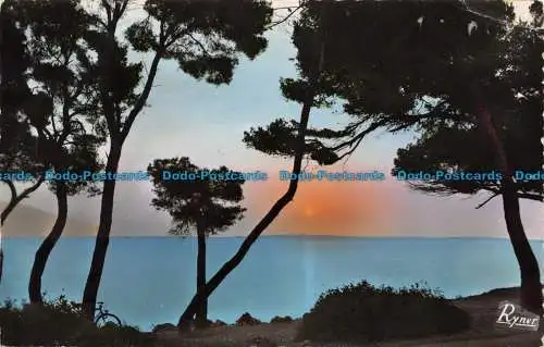R058713 Les Bords de la Riviera. Cap Martin. Ryner