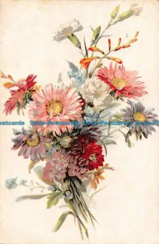 R059527 Blumen. Visto Revisione Stampa. Nr. 3666