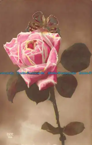 R059532 Rose. Dix 102