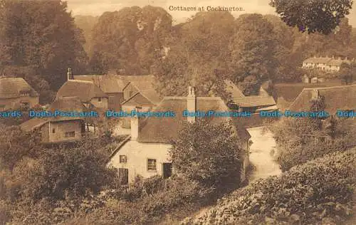 R059138 Cottages at Cockington. M. Niedrig