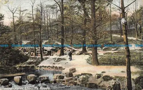R059943 Trittsteine. Endcliffe. Hölzer. Excelsior Serie Nr. G. 1906