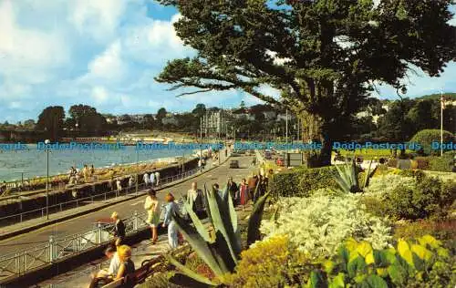 R066264 Tropische Gärten und Strandpromenade. Torquay