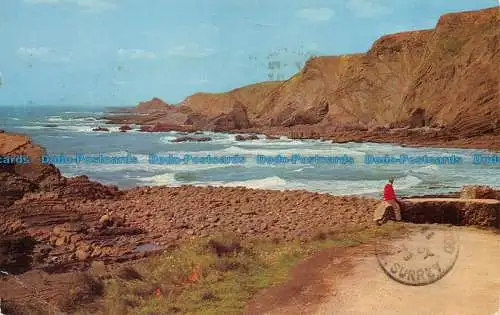 R066596 Hartland Quay und Warren Cliffs. Lachs. 1979